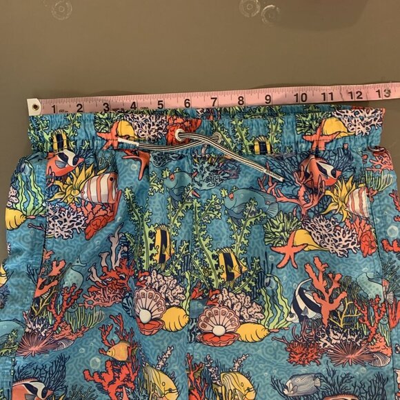 Boardies Boys 9 10 Swim Trunks Blue Fish Underwater Board Shorts Lined Colorful - Picture 11 of 16
